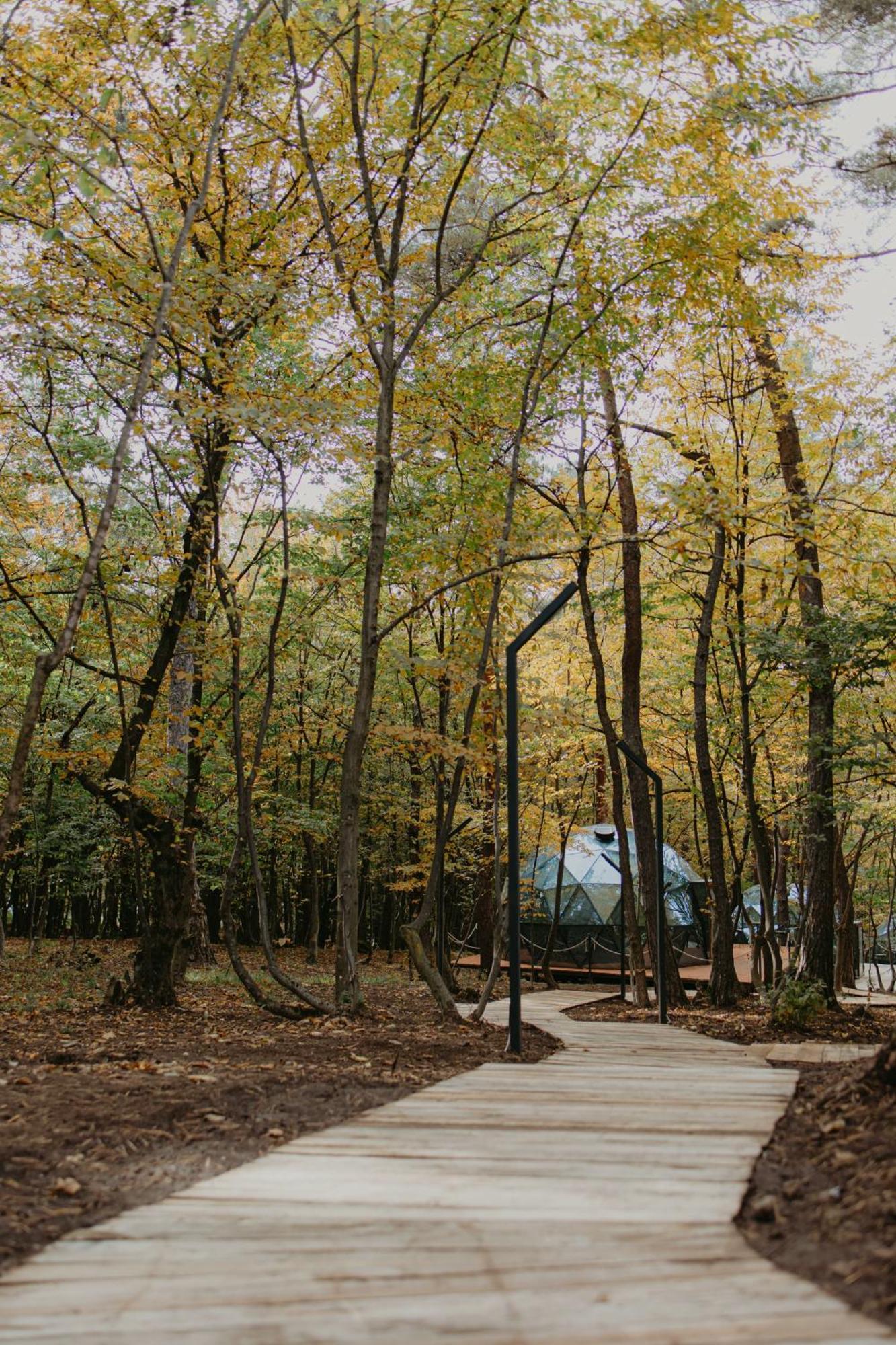 Готель Dream Park Gyulagarak Екстер'єр фото